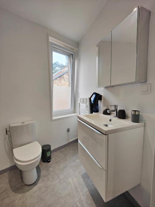 La Feline - Duplex - Vieux Valenciennes - Familial Appartement Buitenkant foto